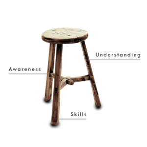 Picture of a Stool with the words Awareness, Skills and Understanding